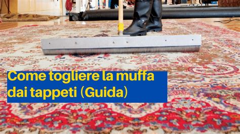 come togliere la muffa dalla borsa di pelle